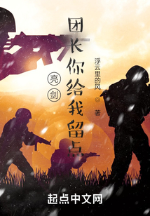亮剑:团长你给我留点