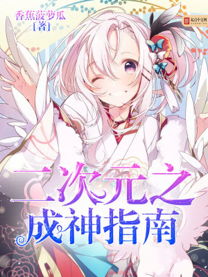 二次元之成神指南 小说