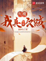 红楼:我真不是汉贼