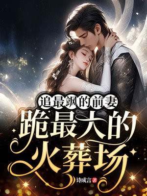 追最飒的前妻跪最大的火葬场