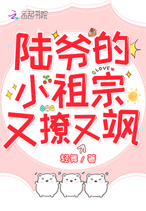 陆爷的小祖宗又撩又飒,不是玄门小祖宗