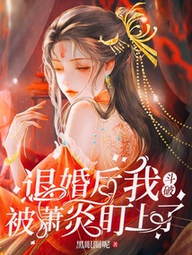 斗破之开局去萧家退婚