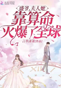 盛爷,夫人她靠算命火爆了全球