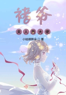 褚爷宠妻请克制长木雨风