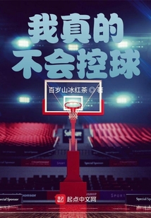 我真的不会控球 小说