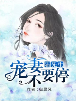 陆先生,宠妻宠不停