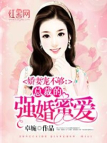 蜜婚100天:总裁,请节制