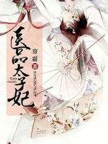 医品太子妃 小说
