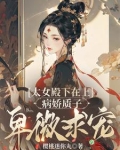 妻主在上之撩汉成瘾小说下载
