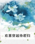 欢喜穿越小说