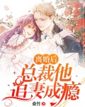 离婚后，总裁他追妻成瘾