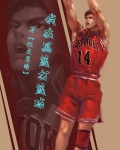 黑篮之我打球为了还债 作者:倾城帝少