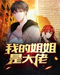 我的姐姐是大佬