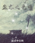 盘龙之光暗