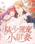 陆少强宠小甜妻