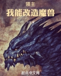 领主:我能改造魔兽