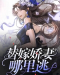 替嫁婚宠:娇妻甜又撩