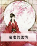 蛮妻嫁到 小说