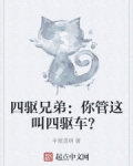 四驱兄弟:你管这叫四驱车?