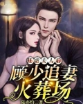 狂虐夫人后,顾少追妻火葬场