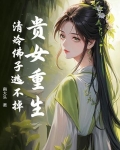 贵女重生 小说